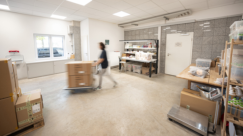 Large, tiled and brightly lit room, two packing tables with different packing material, to the left there are cardboard boxes on a Euro pallet, in the middle a person with a pallet trolley and two cardboard boxes on it, the person can only be recognized v
